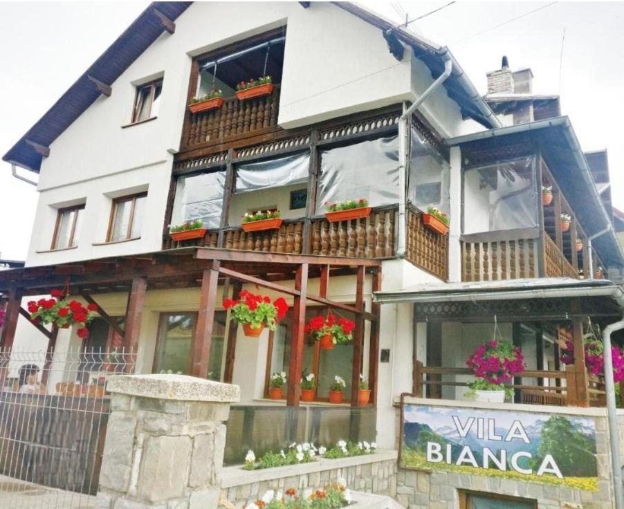 Vila Bianca Buşteni Extérieur photo
